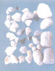 竹黄-医路上