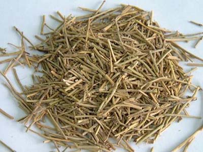 麻黄不良反应-医路上