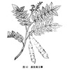 大发汗-医路上