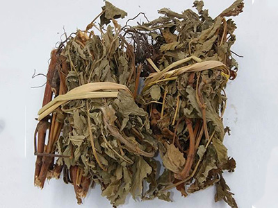仙鹤草:止血 止咳 补气力-医路上