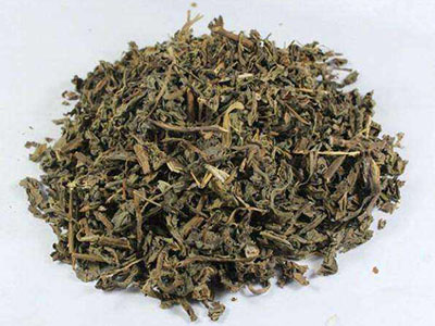 败酱草：清热消瘀，治上下内外疮毒-医路上