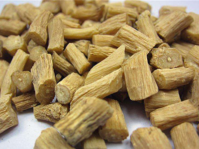 牛膝善引诸药下行 川怀牛膝有不同-医路上
